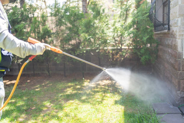 Best Termite Control Services  in Middlebush, NJ